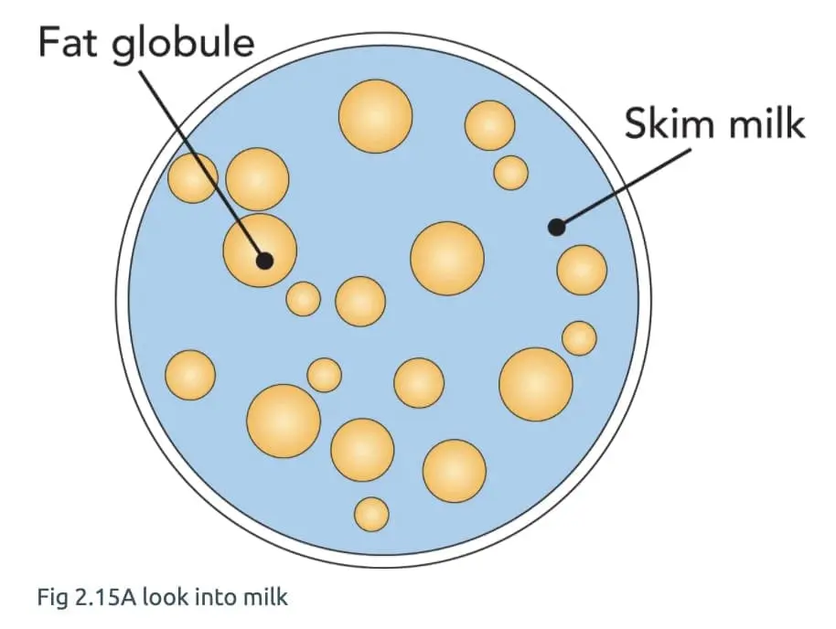 Diagram of fat globules in skim milk.