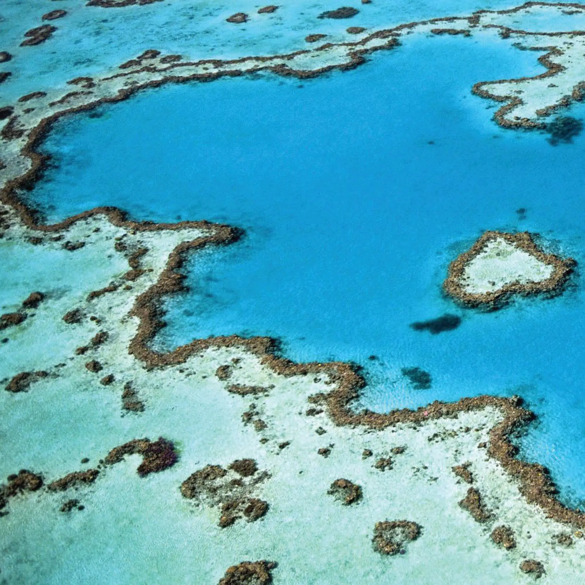 Aerial view of ocean, sea, and coral reefs.