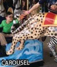 A boy on a carousel with a leopard-patterned ride.