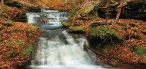 Mommy's Timeout: Cascading Waterfalls