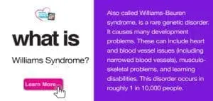 What is Williams Syndrome
