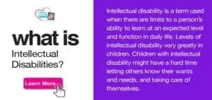 What is an Intellectual Disability