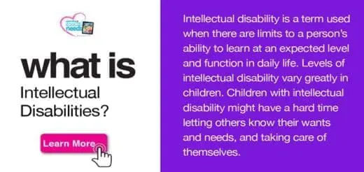 What is an Intellectual Disability
