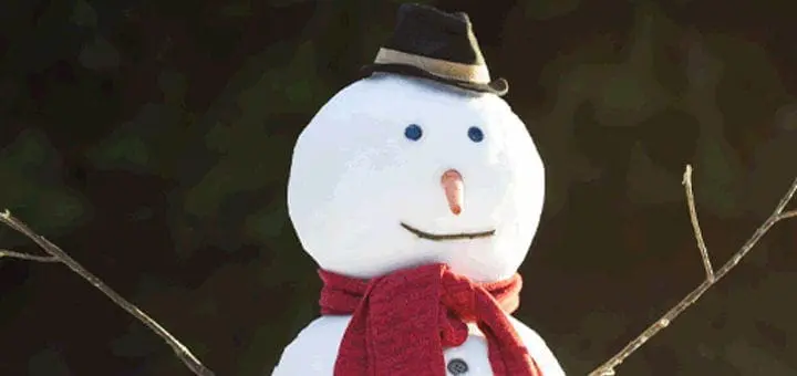 Do You Want to Build a Snowman Adaptive Play and Learning