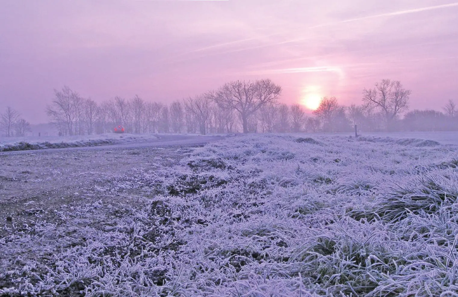 Winter sunrise over a frosted field with bare trees.