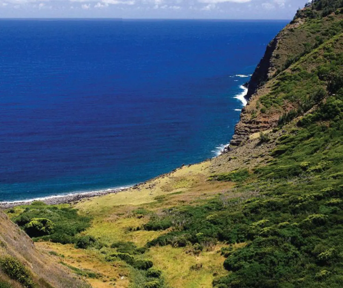 Lush green mountains slope down to the deep blue ocean.