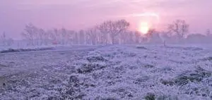 Mommys Timeout Beautiful Pink Sunrise