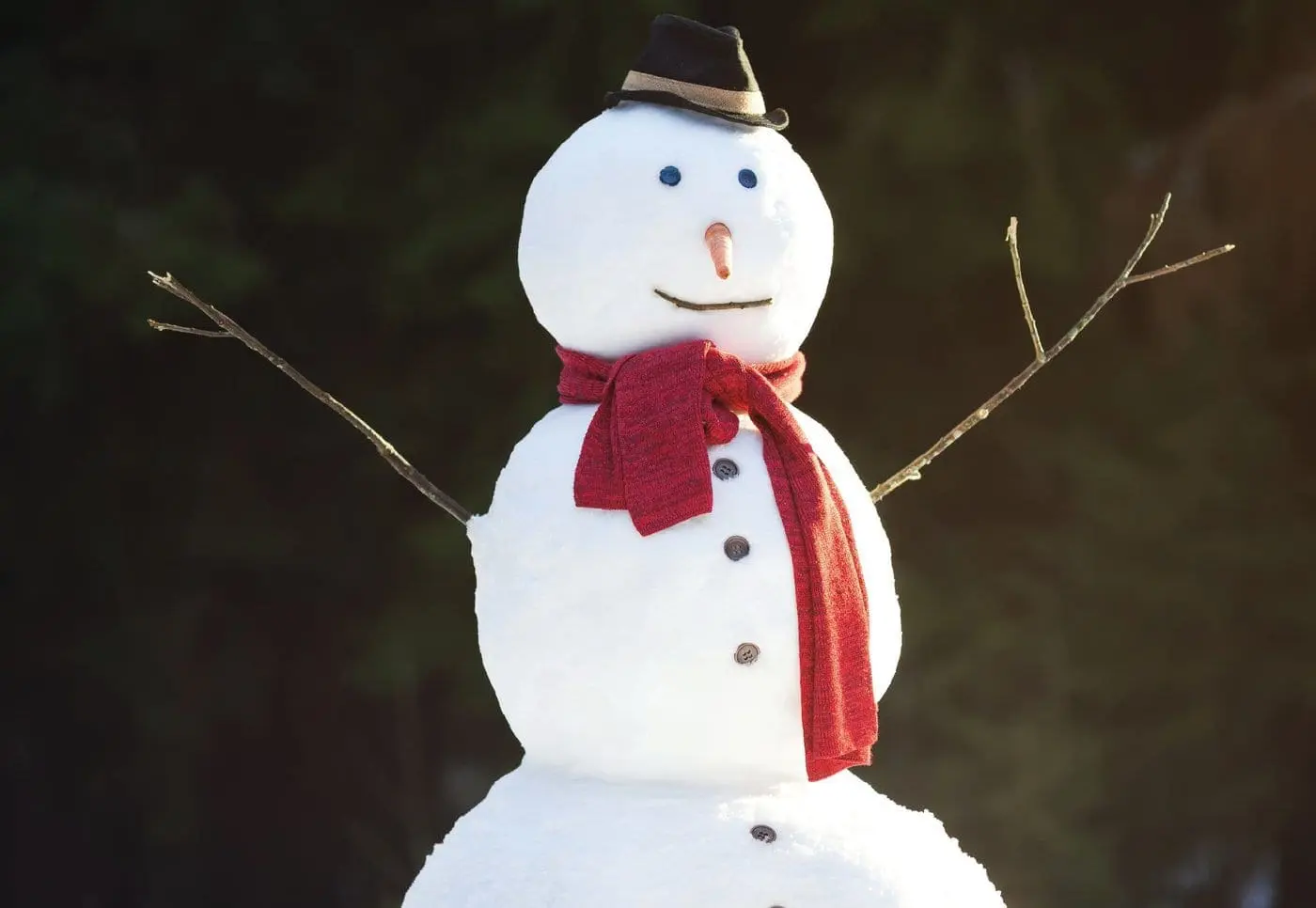 Snowman with a red scarf and black hat against a blurred background.