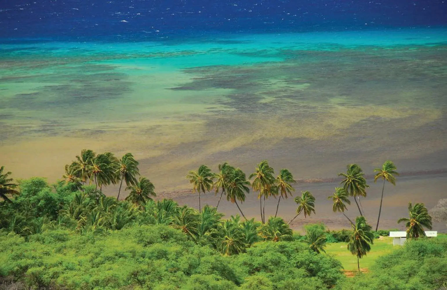 Lush green trees and palm trees border the turquoise ocean at Kawela Beach Park in Molokai, Hawaii.