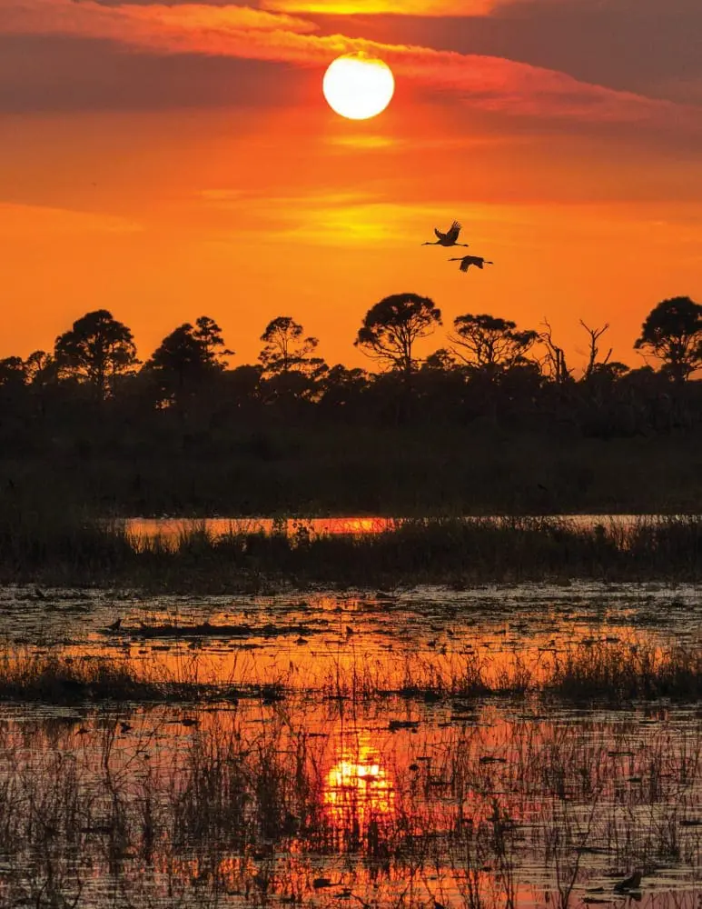 Savannas Preserve State Park-South at sunset