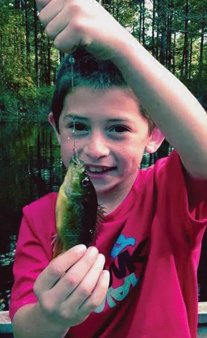 A boy proudly holds up a small fish he caught while fishing.