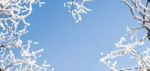 Mommy's Timeout Winter Heart Branches
