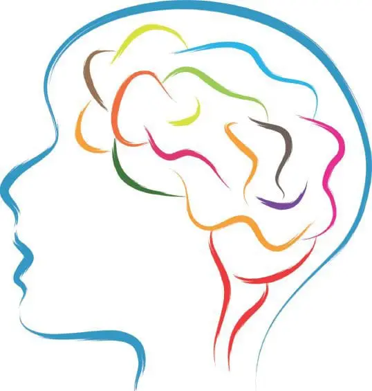 Outline of a head with a colorful brain inside.