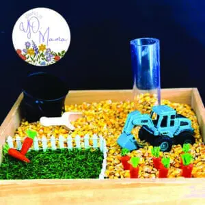 Who_isYoMama Corn-Based Sensory PlayKit