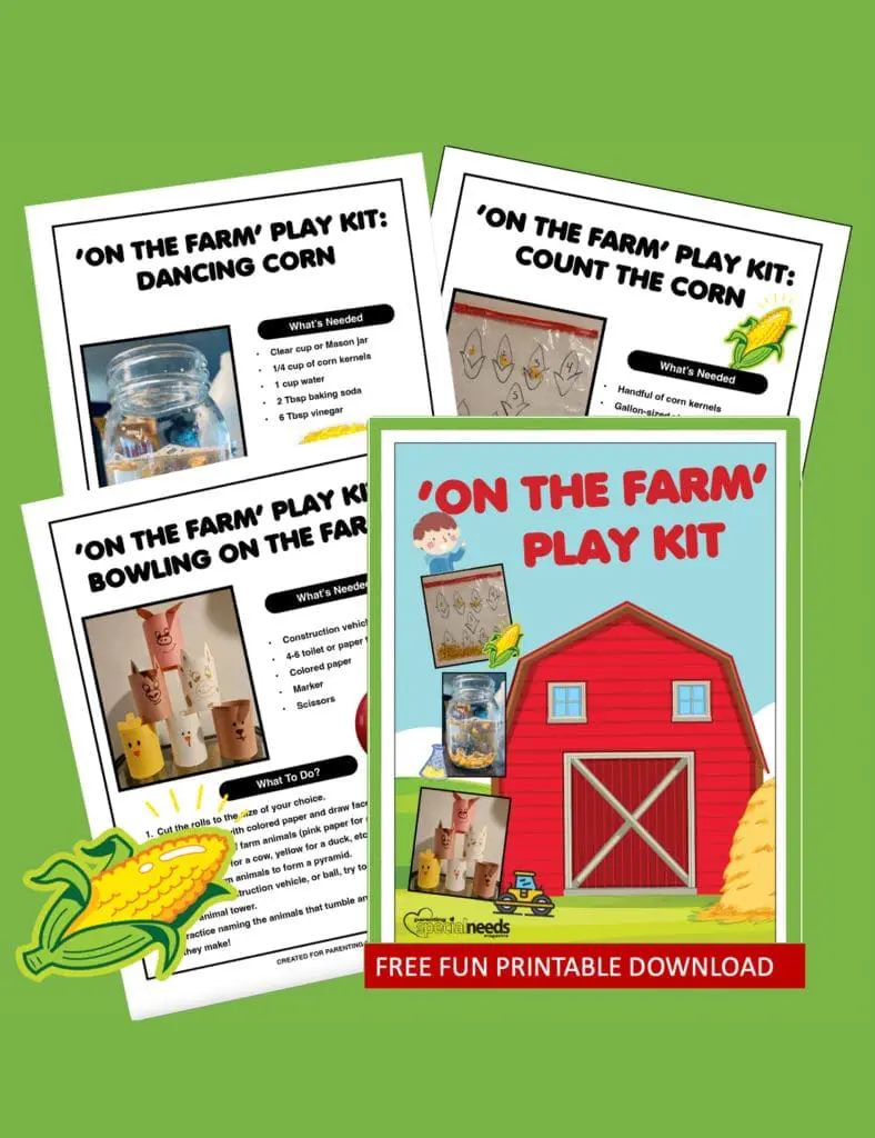 Cover of the 'On The Farm' Play Kit with a red barn and activity pages.