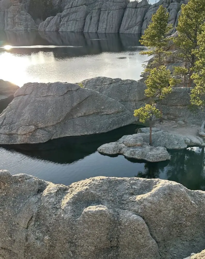 Serene lake with rocky shores and pine trees in Custer State Park