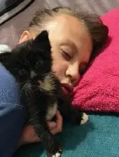 Bethany Riddlehoover's daughter Aurora sleeps with a black and white kitten.