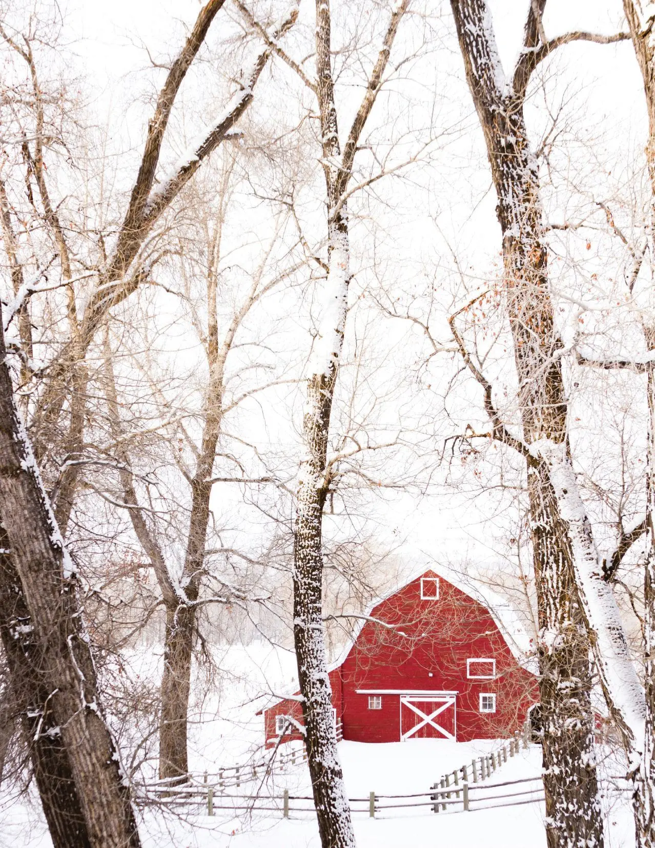Red barn surrounded by snow-covered trees.