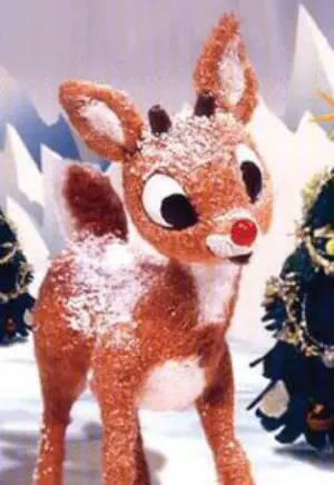 Rudolph the reindeer covered in snow.