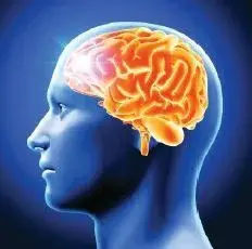 Profile of a human head with a glowing, detailed brain illustration inside.