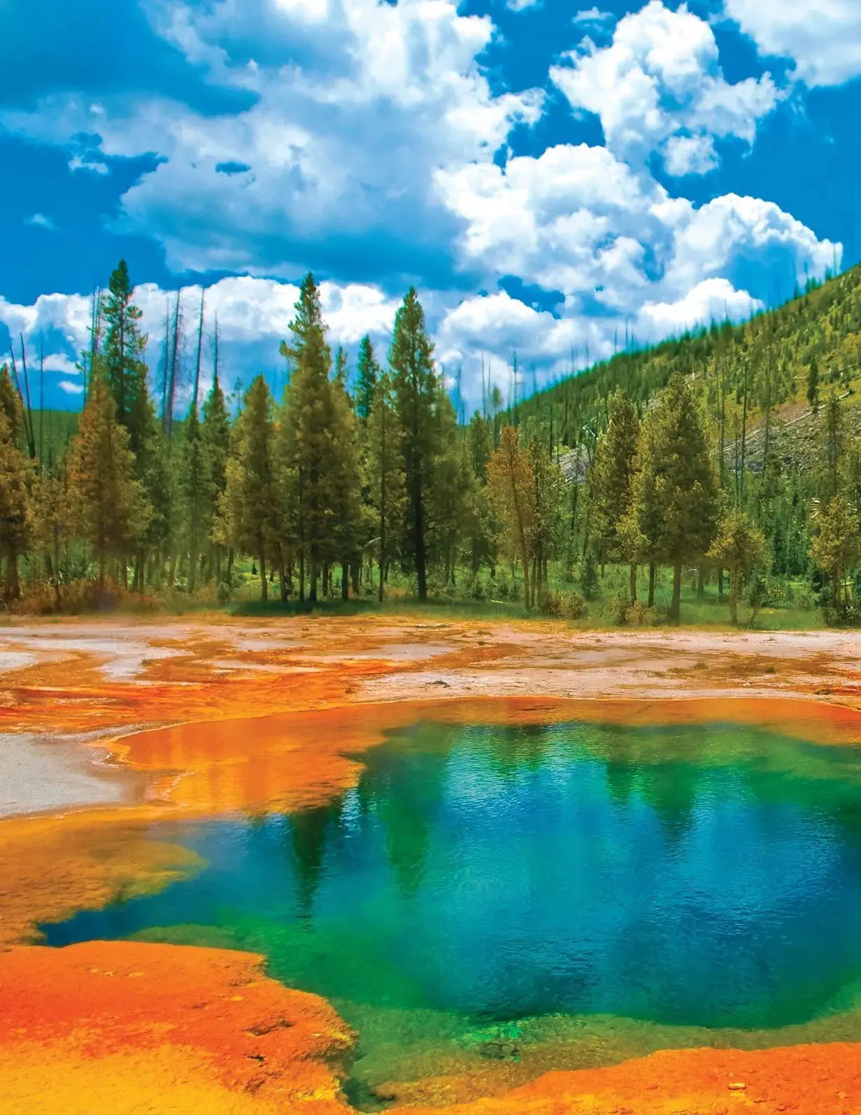 Grand Prismatic Overlook in Yellowstone National Park