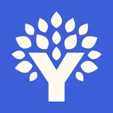 White stylized letter Y with leaves on a blue background