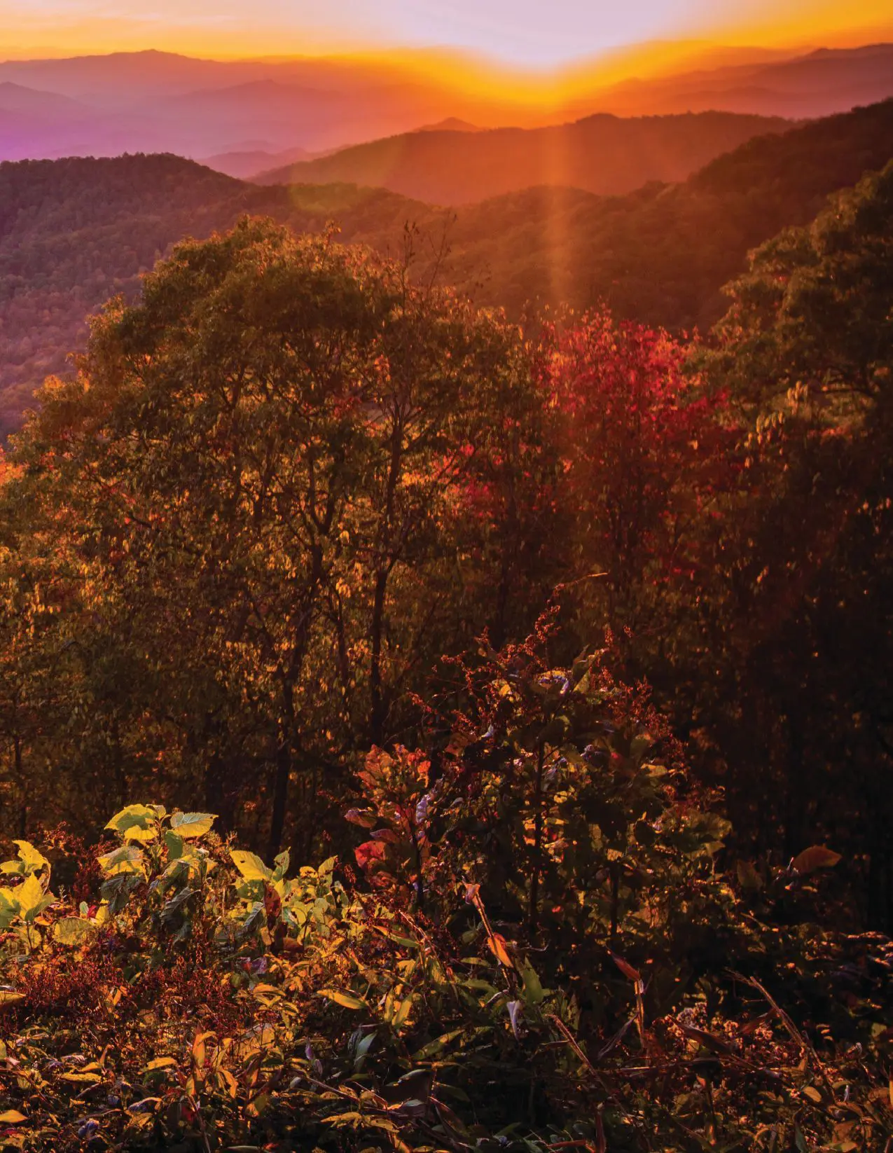 Great Smoky Mountain autumn sunset with layers of mountains and trees.