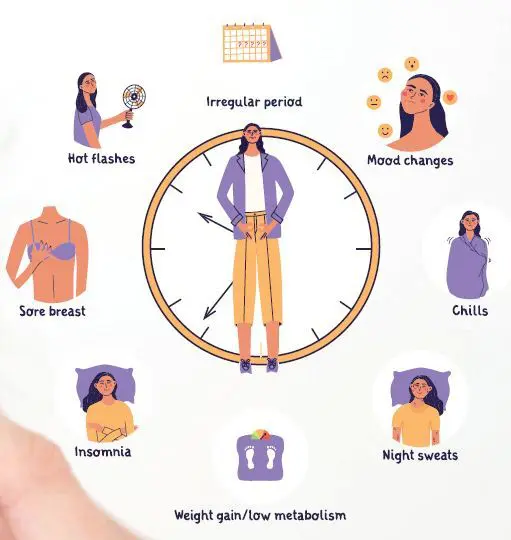 Illustration of menopause symptoms including hot flashes, irregular periods, mood changes, chills, night sweats, insomnia, weight gain, and sore breasts.