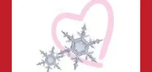 From the Heart Grace and Gratitude