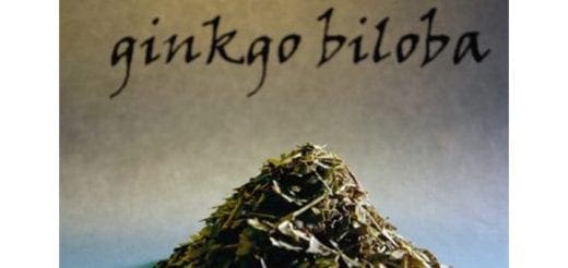 Ginkgo biloba leaves piled high.