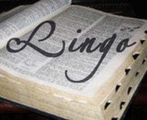 Open book with the word "Lingo" written across the pages.
