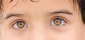 Close-up of a child's eyes.