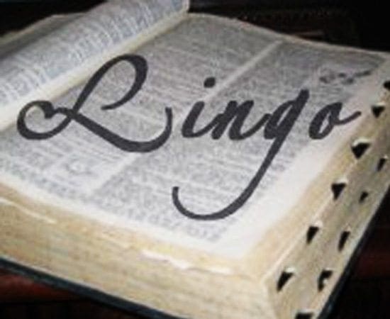 Open book with the word "Lingo" written on the pages