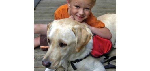 A smiling child rests his head on the back of a Labrador Retriever wearing a red vest.