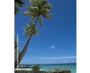 Two palm trees lean over a clear blue ocean under a bright sky.
