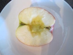 Apple cut in half with seeds cored out, resting on a white plate.
