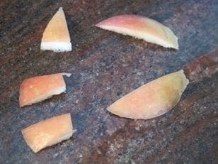 Apple pieces on a speckled surface