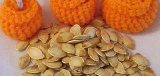 Pile of pumpkin seeds with three crocheted pumpkins in the background.