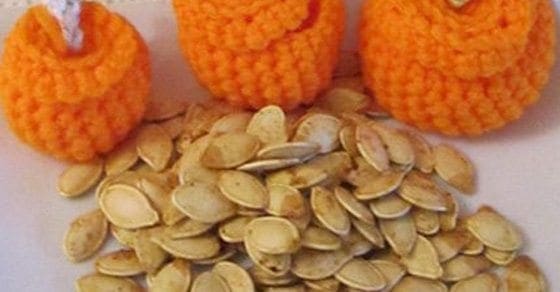 Pile of pumpkin seeds with three crocheted pumpkins in the background.