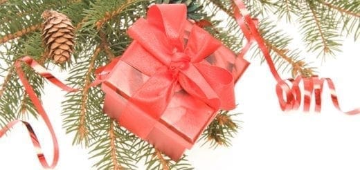 Red gift box with a bow on a pine branch with a pine cone