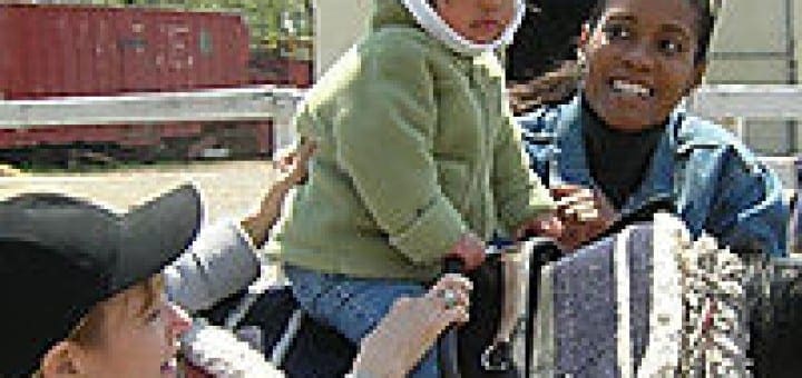 Young child wearing a protective helmet while riding a horse supported by two adults during a therapy session.