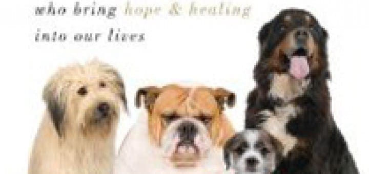 Cover of "Every Dog Has a Gift" book featuring four dogs.