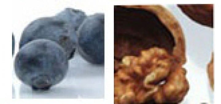 Wheat, yogurt with berries, blueberries, walnuts, salmon, and broccoli arranged in a grid.
