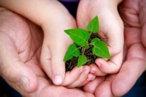 An adult and child hold a small green seedling together.