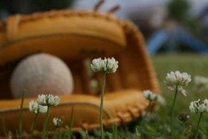 A baseball rests in a glove among white clover flowers.