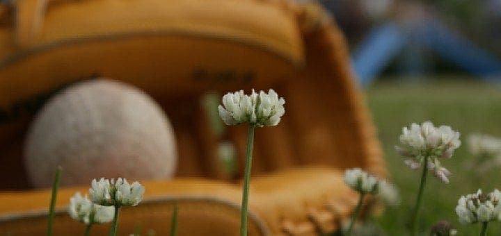 A baseball rests in a glove among white clover flowers.