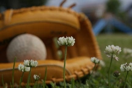 A baseball rests in a glove among white clover flowers.