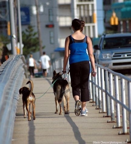 Woman walks two dogs on a bridge as others walk in the background.