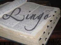 Open dictionary displaying the word Lingo to represent the technical terminology used in special education.