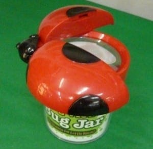 Ladybug-shaped bug jar with an open lid on a green surface